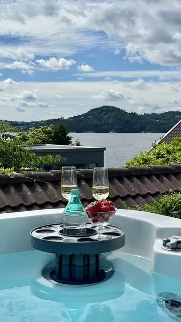 Bilde 36 Hånestangen.avif