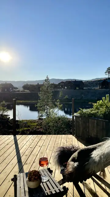 Bilde 39 Kvisleåsen.jpeg
